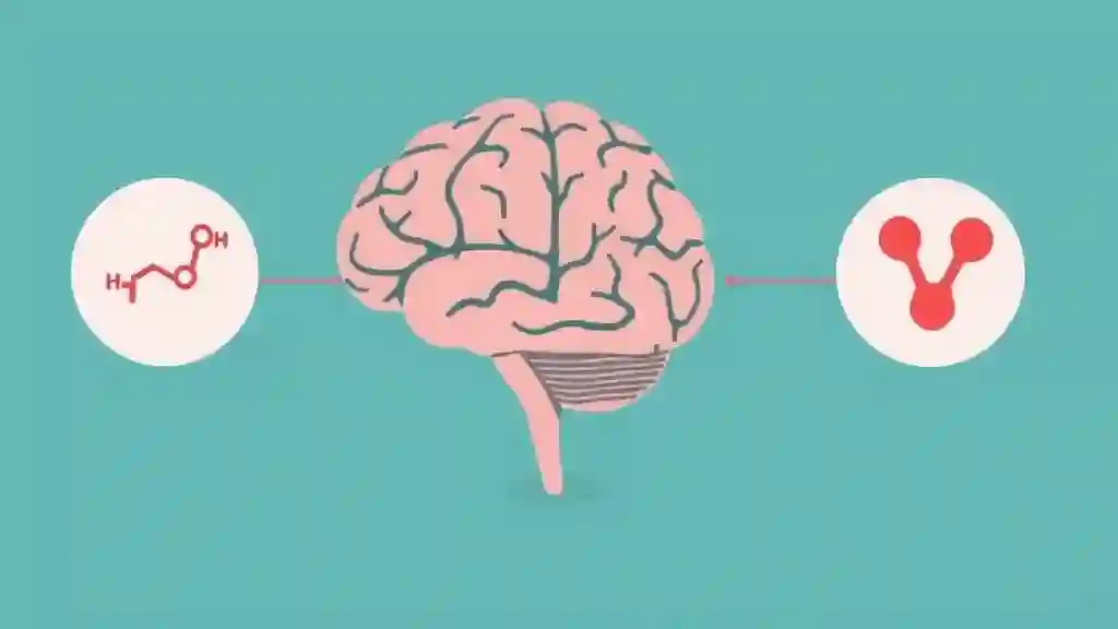 Illustration showing how texting an ex triggers love-related brain chemicals.